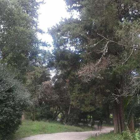 Апартаменты Garitsa Bay